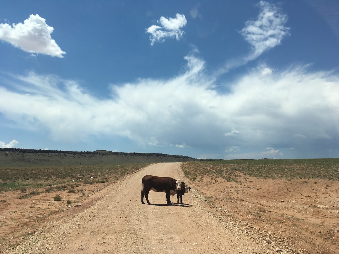 “Roadblock” onderweg naar Tatahatso Point