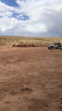 Milan is driving in the backcountry