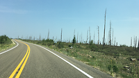 Afgebrand bos op weg naar Grand Canyon