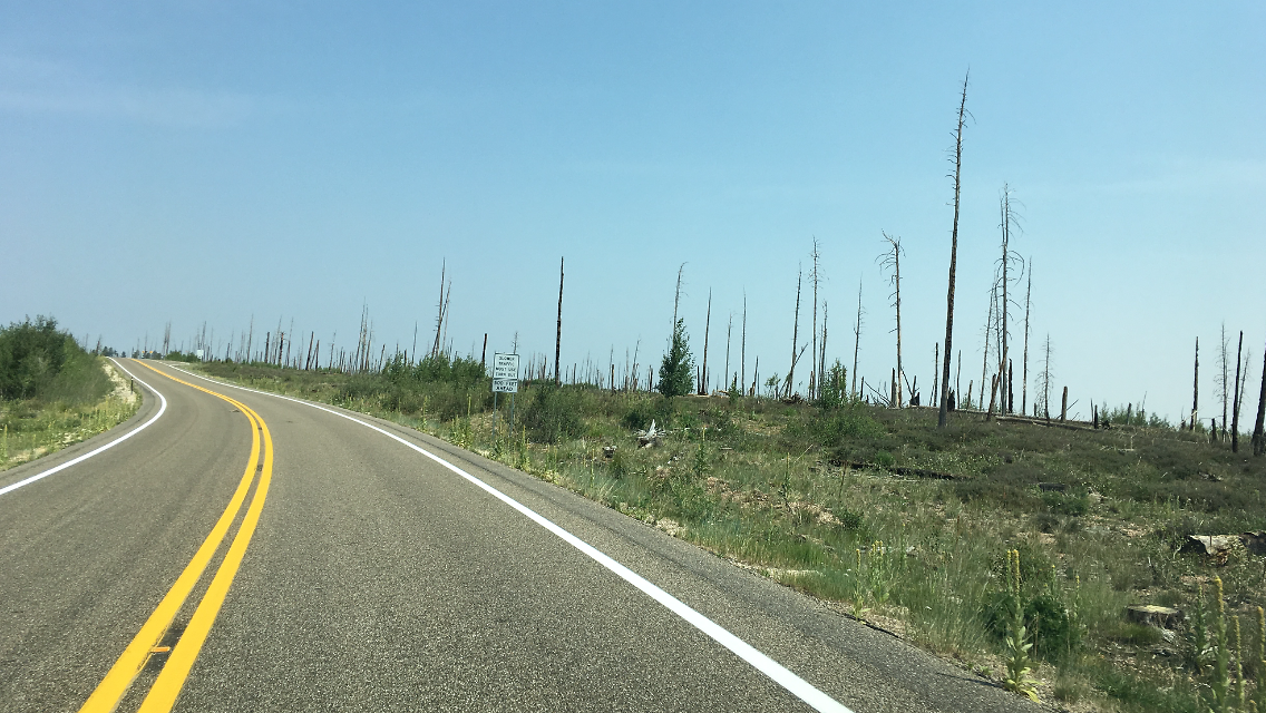 Afgebrand bos op weg naar Grand Canyon
