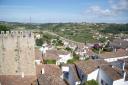 DSC02519