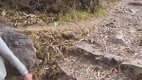 2-8-1 laatste afdaling 1