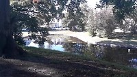 Mediteren in het Wilhelmina Park