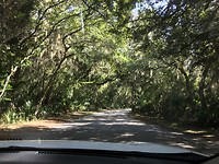 Prachtig park om doorheen te rijden