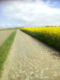 Hel van 't noorden