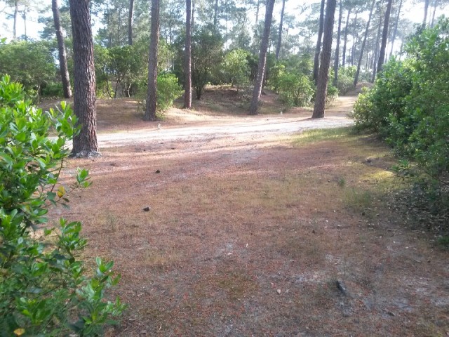 Lege Camping