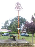 'n andere feestboom