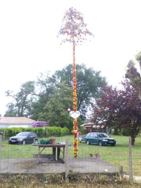'n andere feestboom