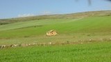 Past mooi in het landschap