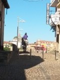 Paard op de brug