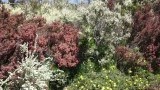 Prachtige natuur tijdens de beklimming