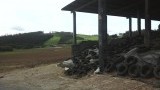 Veel keuterboertjes onderweg