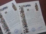 ONZE COMPOSTELATEN  ( HANGEN WE OP NAAST ONZE ZWEMDIPLOMA   'S)