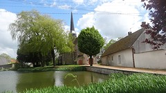DSC07749