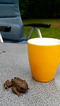 IMG-20240717-WA0013