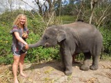 Dees en baby olifant