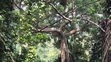 Kampot
