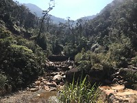 IMG_2448