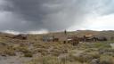 Bodie 2