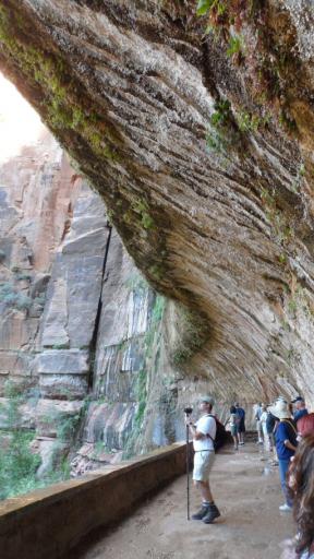 Wheeping rock