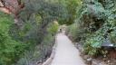 Zion Park trail 1