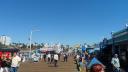 Santa Monica pier 5