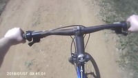 Fietsen1 - impala's oversteken