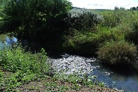 Watertje