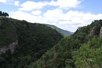 Natuur