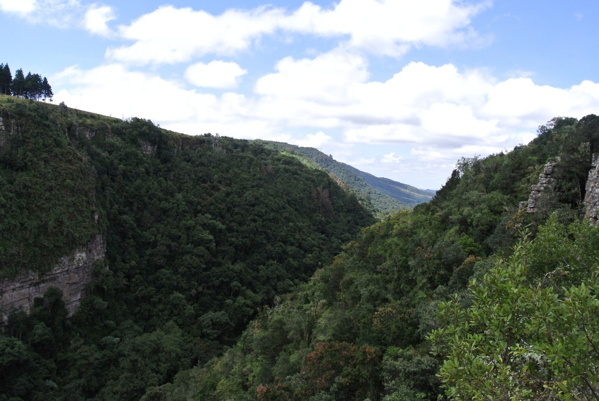 Natuur