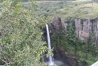 Natuur