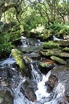 Natuur