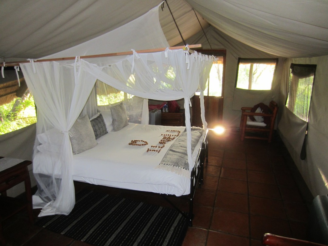 Onze tent