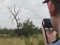 Robert en olifant