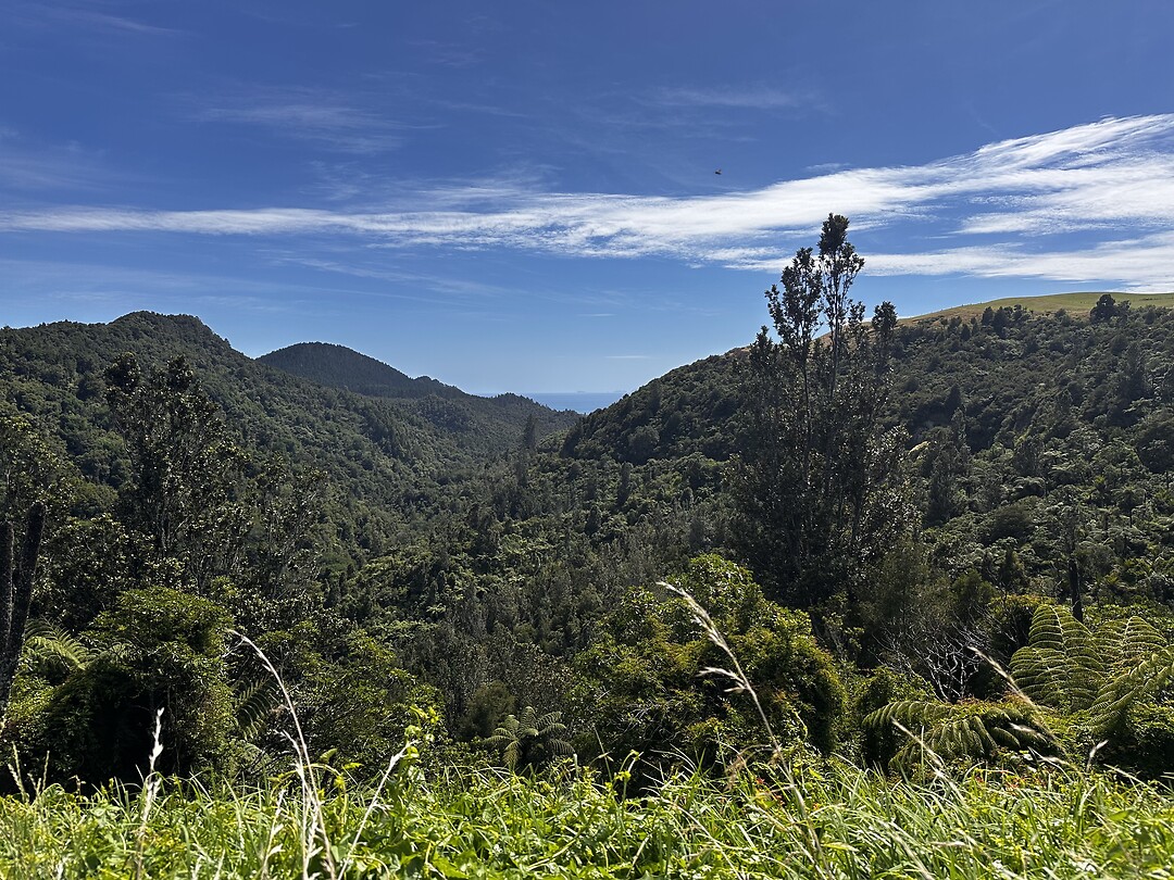 Whiritonga