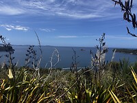 Richting Hotwater beach