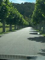 Oprit Mission Estate Winery