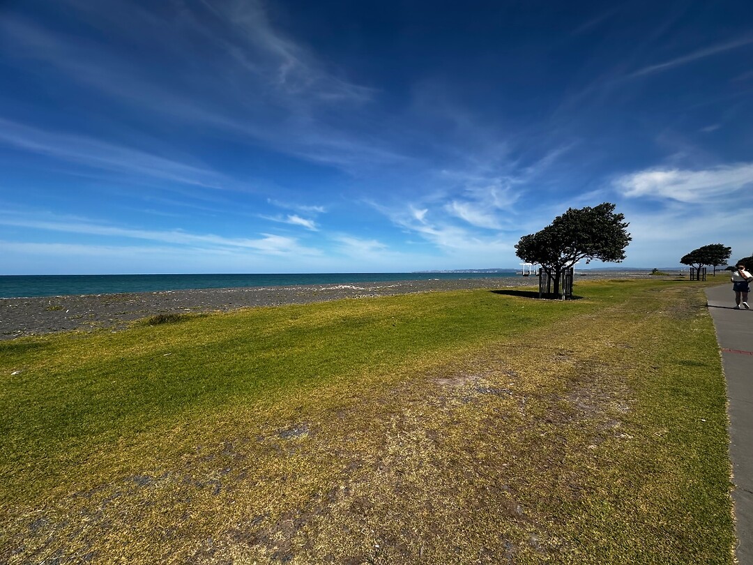Strand Napier