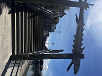 IMG_8248