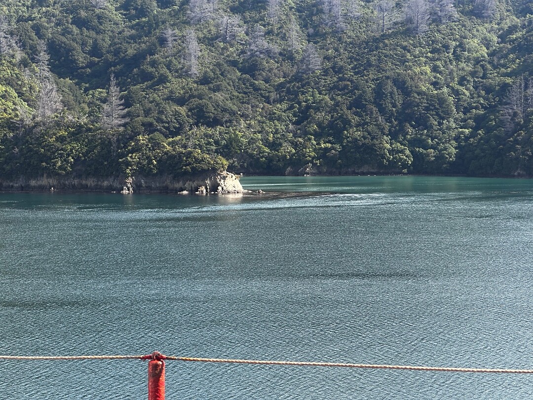 Bay of many coves