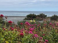 Kustlijn Kaikōura