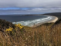 Papatowai beachline