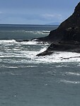 Curio bay