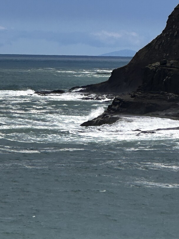 Curio bay