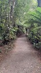 Wandelen naar de waterval