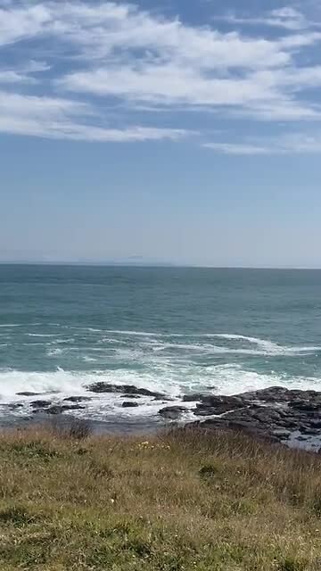 Waipapa point