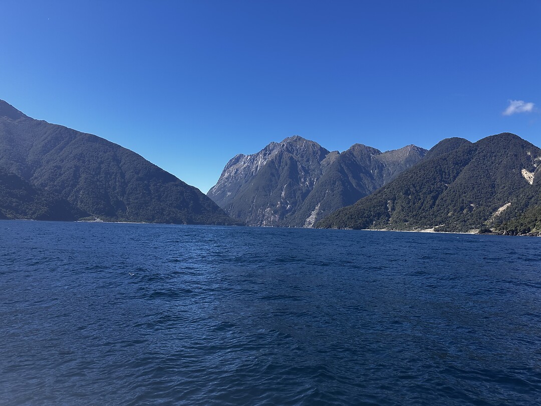 Milford sound