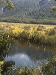 Mirror lake