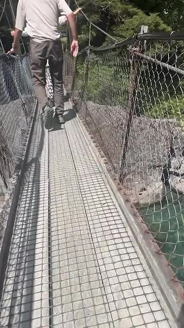 Marion track bridge
