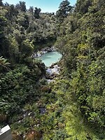 Kokatahi track
